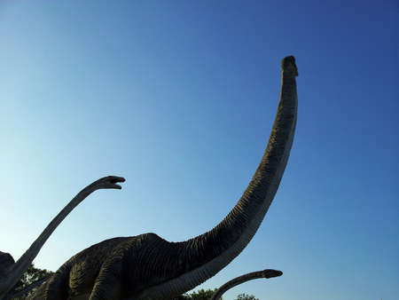 Sauropod dinosaursの写真素材