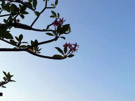 Sunsetの写真素材