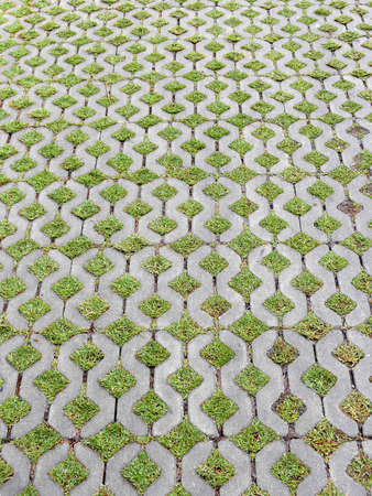 Footpathの写真素材