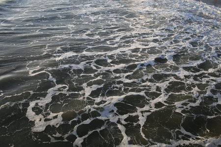 Pacific ocean calm. Close up