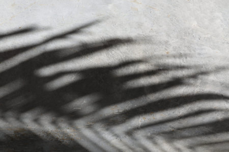 On the floor is a shadow from palm leaves.
