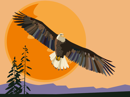 Eagle flies against the setting sun. Vector drawingのイラスト素材