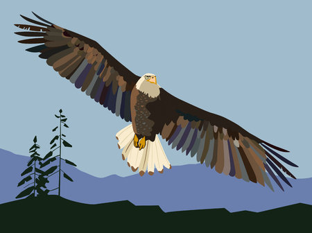 The eagle soars. Vector drawingのイラスト素材