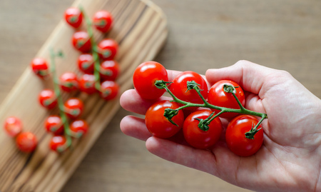 A branch of cherry tomatoes in woman's hand against blurred board with tomatoesの写真素材