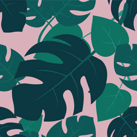 seamless pattern with Monstera leaves of different sizes and angles, made in vector. Pattern for background, packaging, decor, wallpaper, textile. Green and pink.のイラスト素材