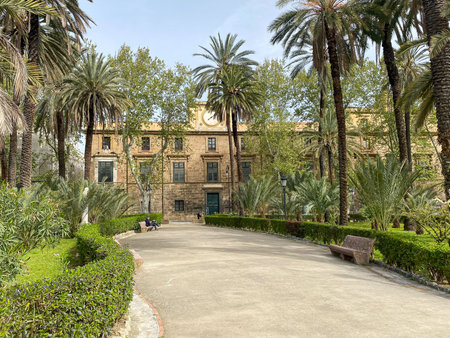 Street park view with palms and man reading newspaper  in Palermo, Sicily.