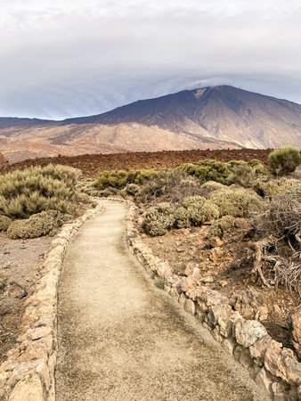 Photo Picture of a Dirt Path in the Desert Tenerife Canary Islands Spainの写真素材