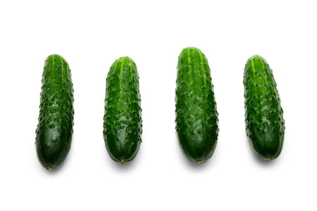Four green cucumbers with pimples isolated on whiteの写真素材