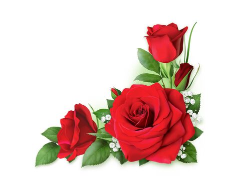 Beautiful corner frame of red roses. For decorating pages, greetings, and invitations.の写真素材