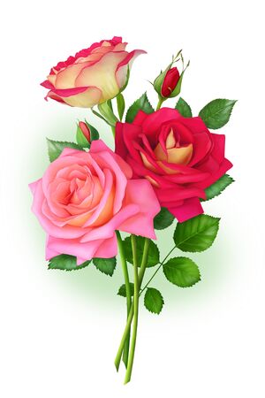Beautiful bouquet of bright red and pink roses. A hand-drawn picture for decorating pages, postcards, and greetings.の写真素材