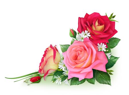 Beautiful corner frame of bright roses for decorating pages, making postcards, invitations and greetings.の写真素材
