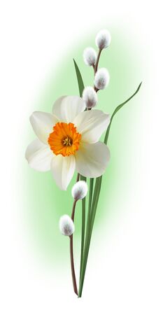 Beautiful Easter card made of daffodil and willow. For holiday greetings and page decoration.の写真素材