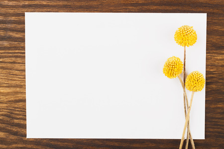 Post card with hop decorations, wooden backgroundの写真素材