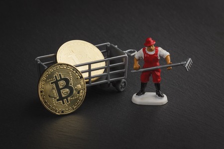 Gold bitcoins on the black slate stone, soft focus backgroundの写真素材