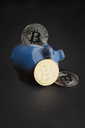 Silver and gold bitcoins and piggy bank on the black slate stone