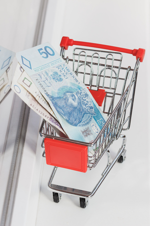 Polish zloty in the small shopping cart, soft focus backgroundの写真素材