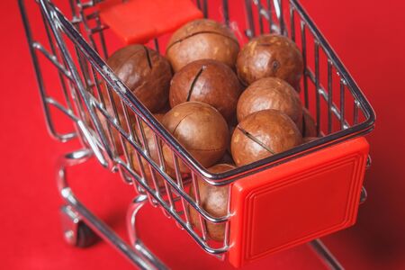 Background: pecan on a red background in a miniature trolley, foodの写真素材