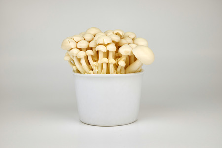 Japanese mushroom for cookingの写真素材