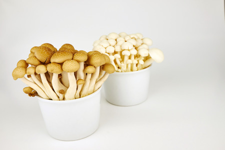 Japanese mushroom for cookingの写真素材