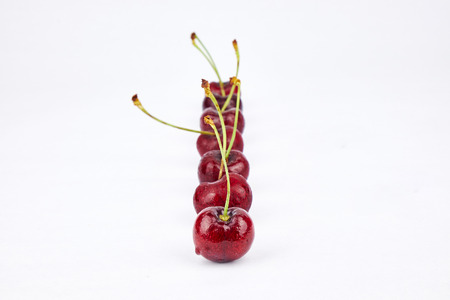 fresh cherries from farmの写真素材