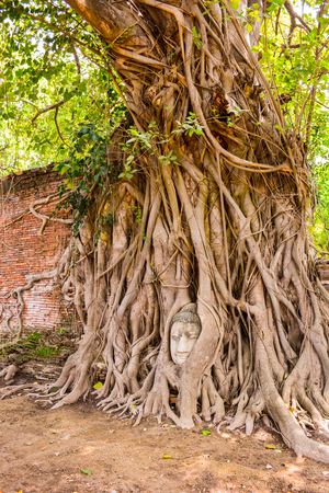 Wat Phra Mahthatの写真素材