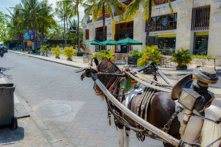 Horse-drawn carriageの写真素材