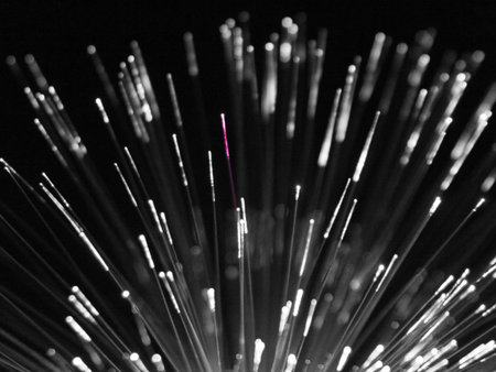 Fiber optic