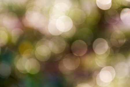 Colourful spark and blow natural bokeh  in wonderful fantasy mood backgroundの写真素材