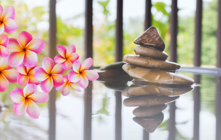 Pink flower frangipani bunch and pebble on water in zen style backgroundの写真素材