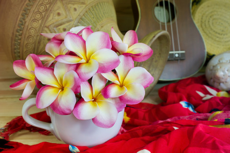 Pink frangipani in white big cup on summer feeling background with copy space spaceの写真素材