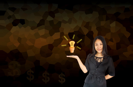 Smiling business women Asia women presenting  light bulb in small flower pot on pattern backgroundの写真素材