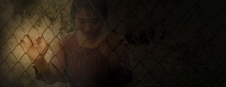 Arrayの写真素材