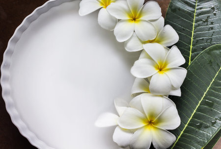 Arrayの写真素材