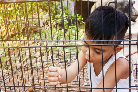 Little Asian boy in the cage, kidnap or imprison conceptの写真素材