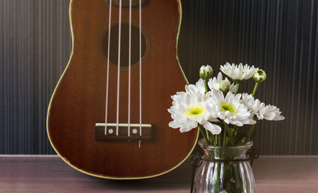 White flower and ukulele background in vintage moodの写真素材