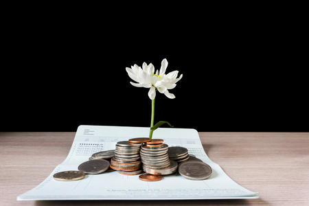 White flower on coins upon book bank account on black backgroundの写真素材