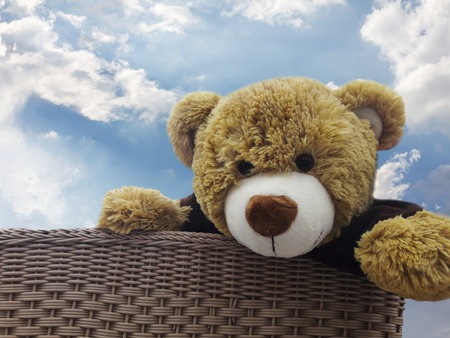 Cute brown bear doll gift in basket and sky with clouds background