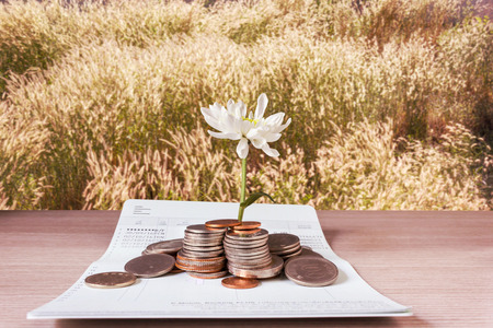 Coins and flower on book bank account and grass field backgroundの写真素材