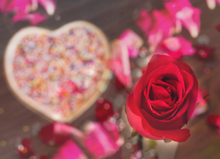 Soft sweet red rose with blank space for background, love and romantic valentine rose and heart backgroundの写真素材