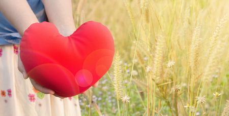 Women hand gently hold red heart with love, careness and restpect on wild grass flower field romantic background with blank spaceの写真素材