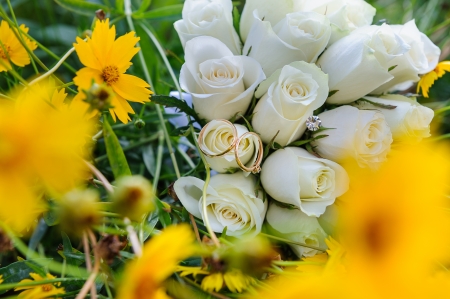 Wedding rings on a bouquet of roses in dandelionsの写真素材