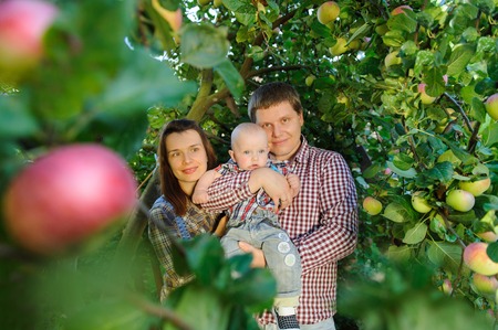Happy parents with child in apple gardenの写真素材