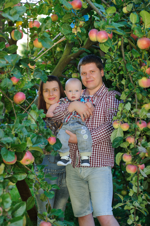 Happy parents with child in apple gardenの写真素材