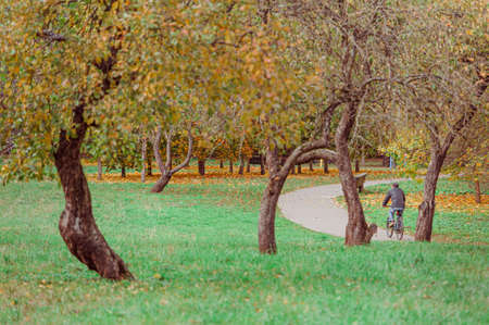 A man cycling on the road against the background of autumn trees.の写真素材