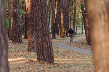 Young man walking in the pine park during autumn season, solo traveler walking in the forest. Travel, adventure and journey concept.の写真素材