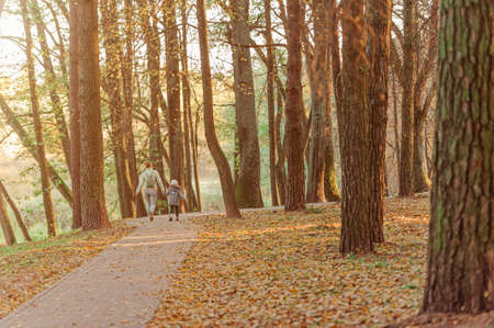 Mother and daughter walk through the pine park in autumn holding hands. Back view.の写真素材
