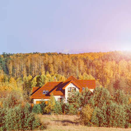 House in the forest in autumn, beautiful colors of the treesの写真素材