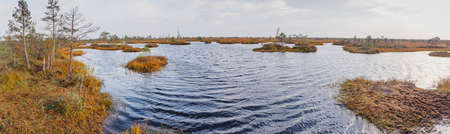 Autumn landscape in the swamp. Beautifull view of the swamp Elnya Belarusの写真素材