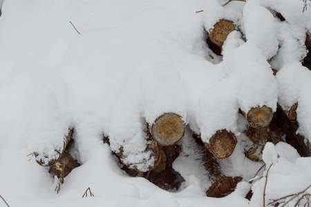 A closeup of a stack of wood logs covered with a thick layer of snowの写真素材