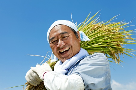 agriculture の写真素材